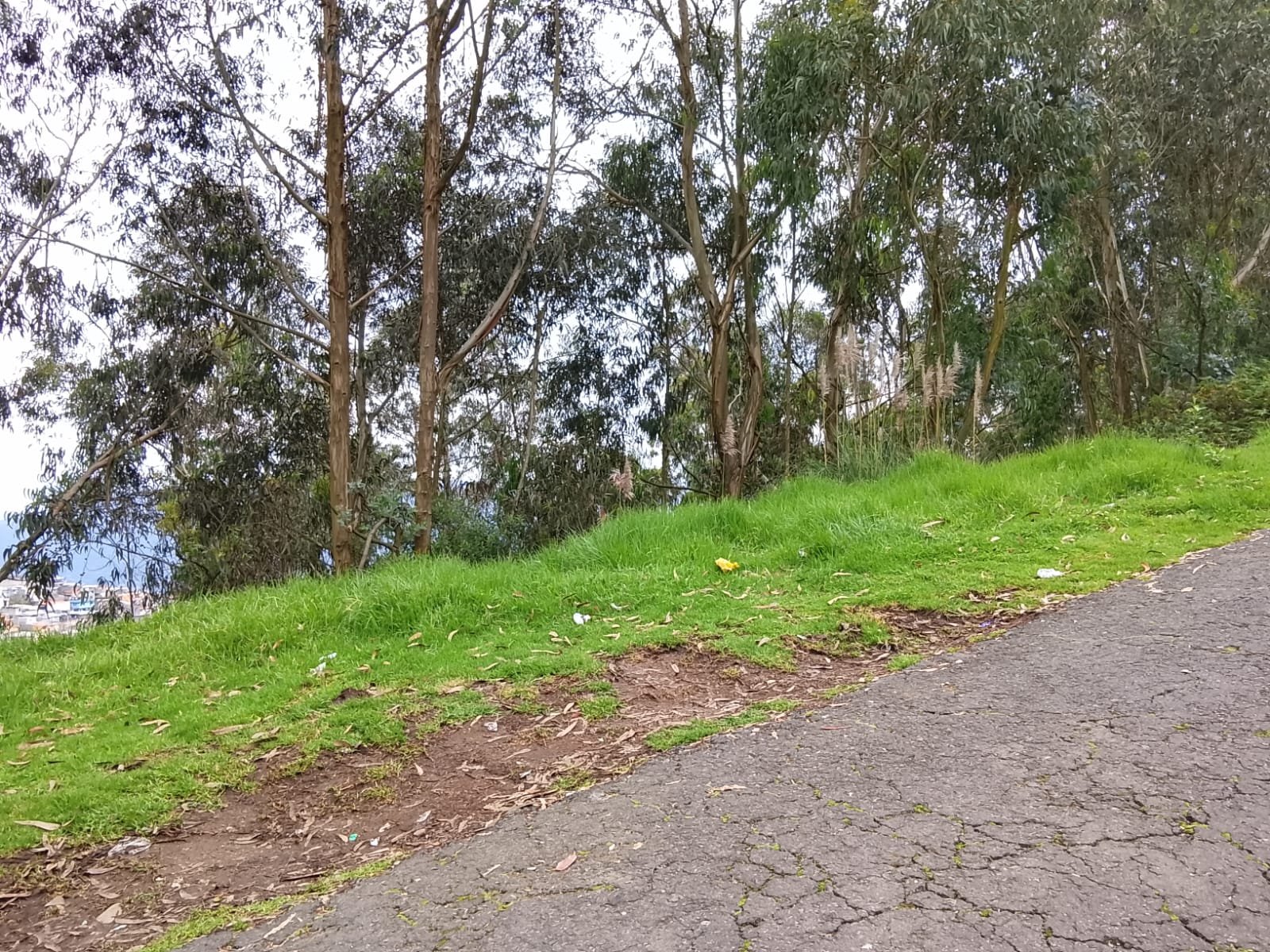 Imagen 6 de TERRENO DE VENTA